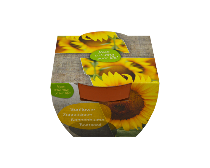 Blomster i terrakottakrukke - Billede 2